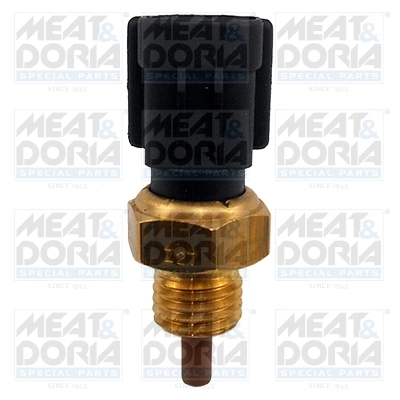 Sensor, intake air temperature